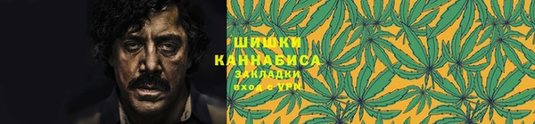ГАЛЛЮЦИНОГЕННЫЕ ГРИБЫ Алексеевка