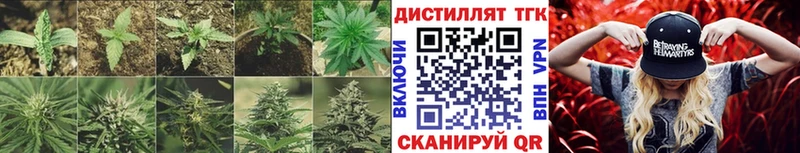 Дистиллят ТГК Wax Шумерля