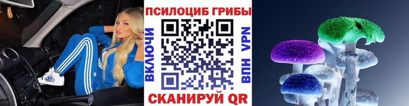 Галлюциногенные грибы GOLDEN TEACHER  Шумерля 
